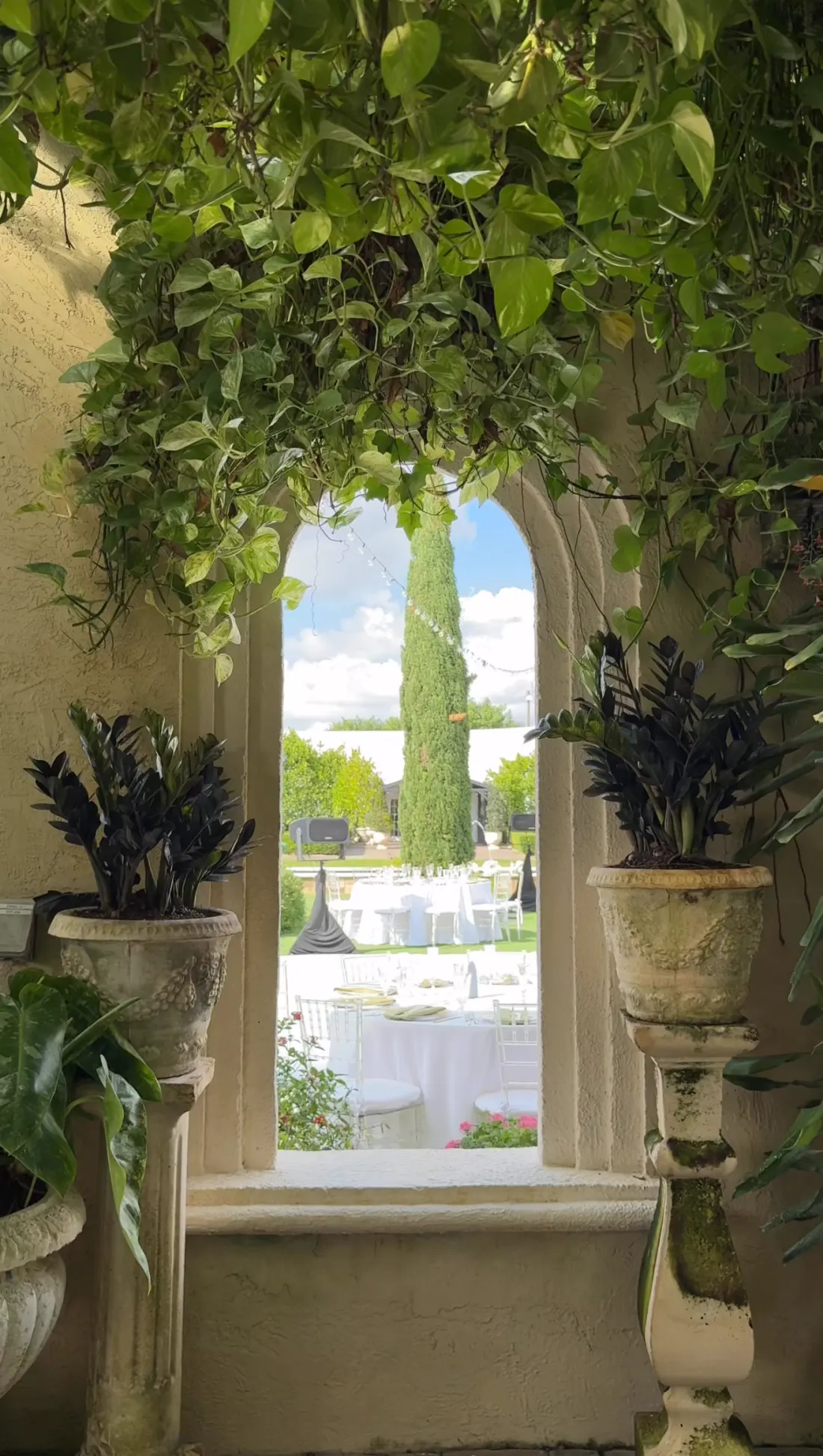 Reception tables seen through an ivy-framed arched window