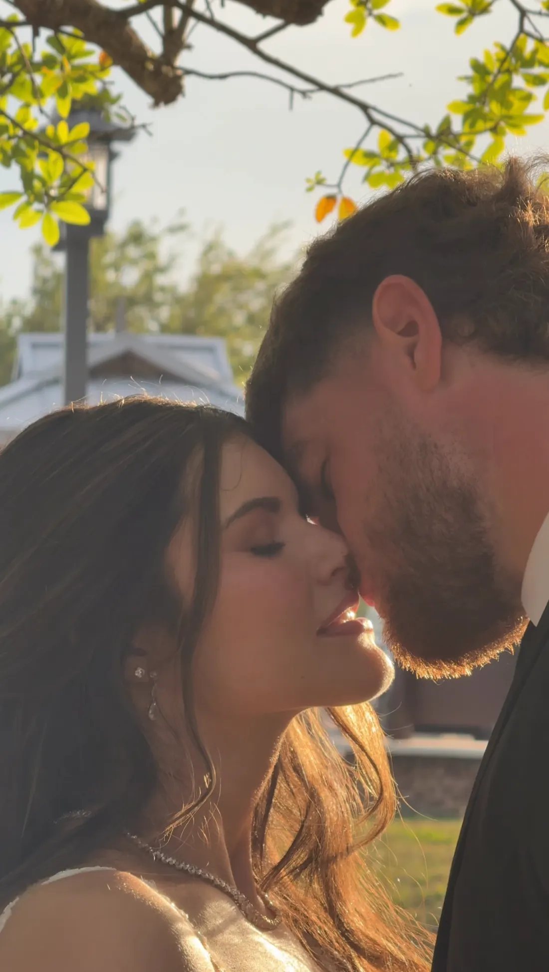 Couple nose to nose in warm golden hour backlight